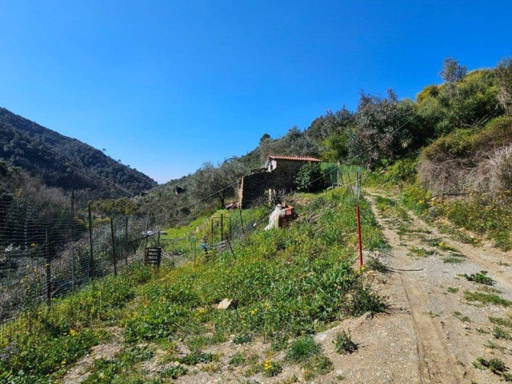 Rustico / casale a Seborga in Via Dormiello - Foto 3