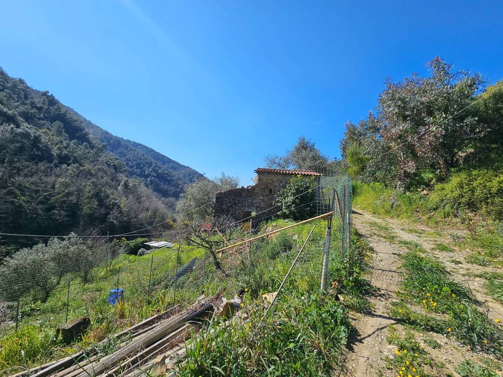 Rustico / casale a Seborga in Via Dormiello - Foto 4