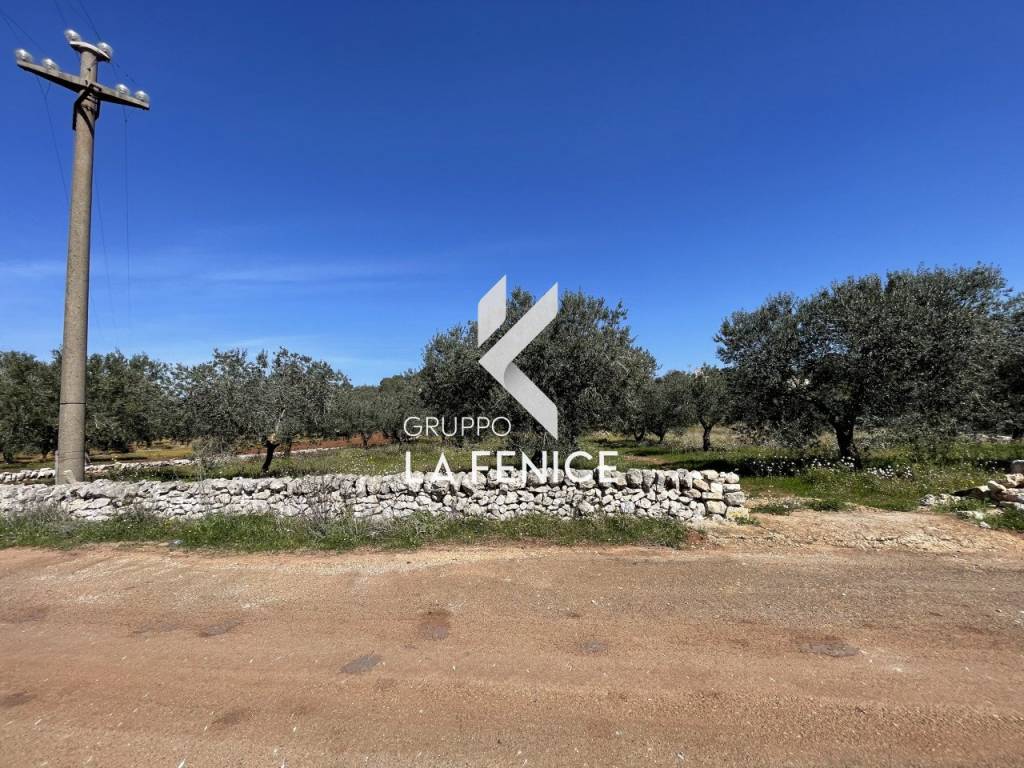 Rustico / casale a Cisternino in c.da Tufara - Foto 3