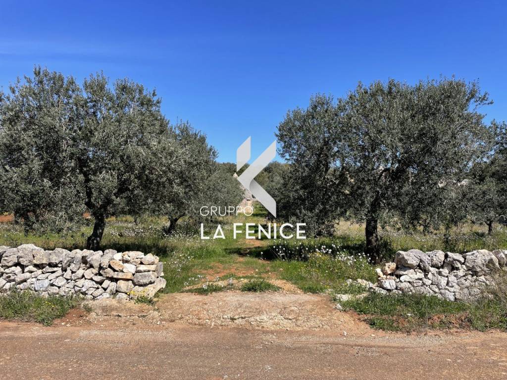 Rustico / casale a Cisternino in c.da Tufara - Foto 4