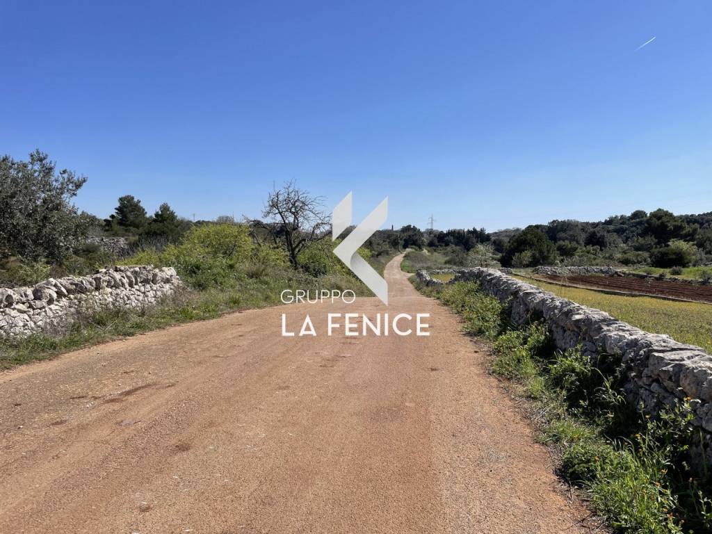 Rustico / casale a Cisternino in c.da Tufara - Foto 5