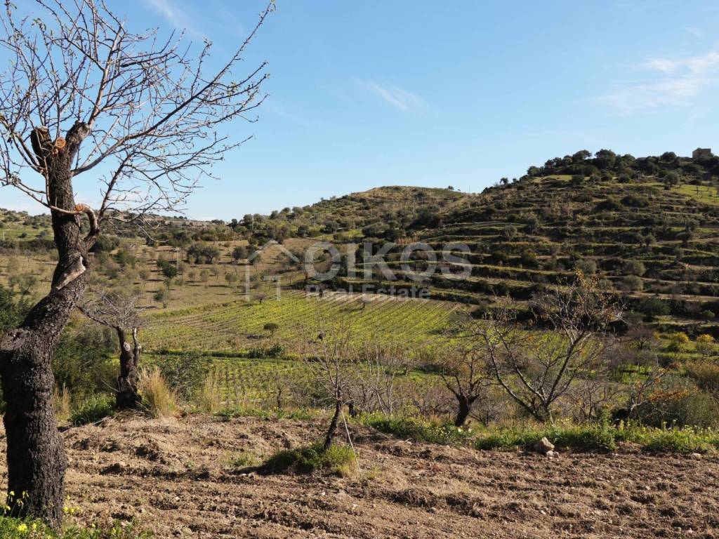 Terreno a Avola in C.da Bochini - Foto 2