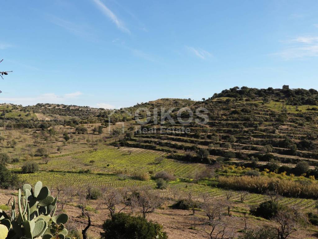 Terreno a Avola in C.da Bochini - Foto 3