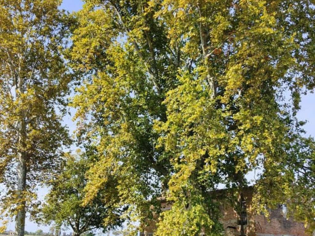 Rustico / casale a Caorle - Foto 2