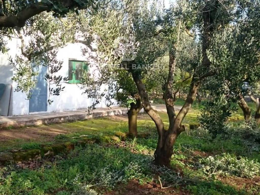 Rustico / casale a Mesagne in Contrada Baccone - Foto 4