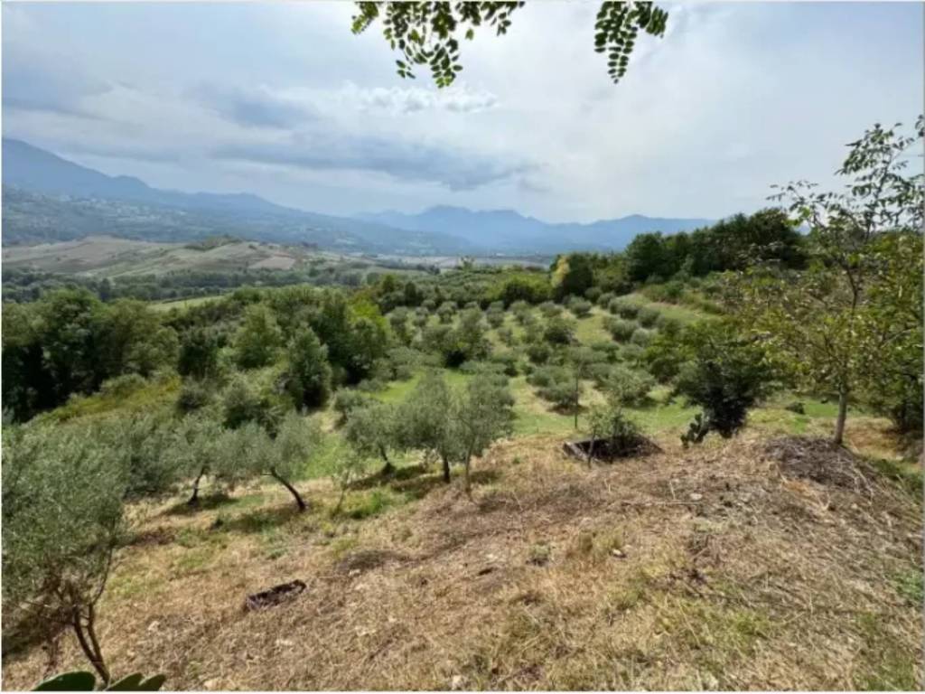 Casa indipendente a Viggianello in Frazione Santo Ianni - Foto 3