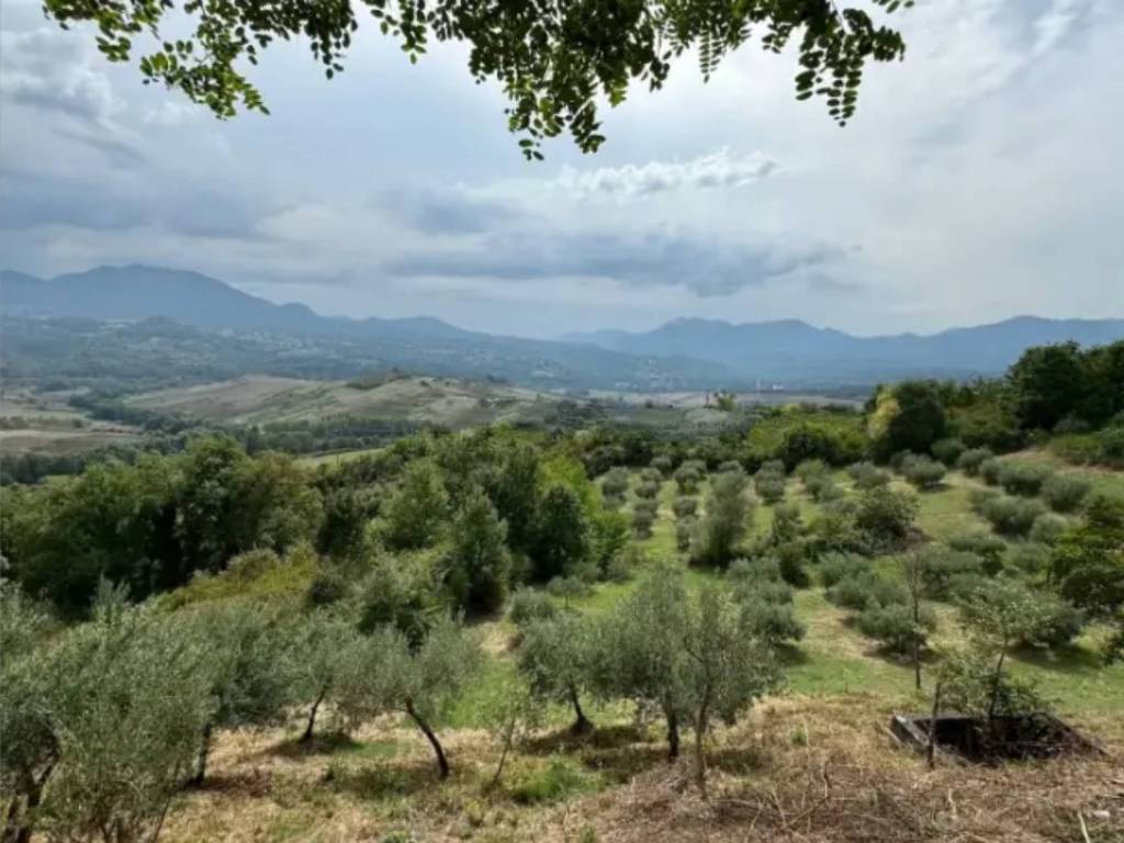 Casa indipendente a Viggianello in Frazione Santo Ianni - Foto 4