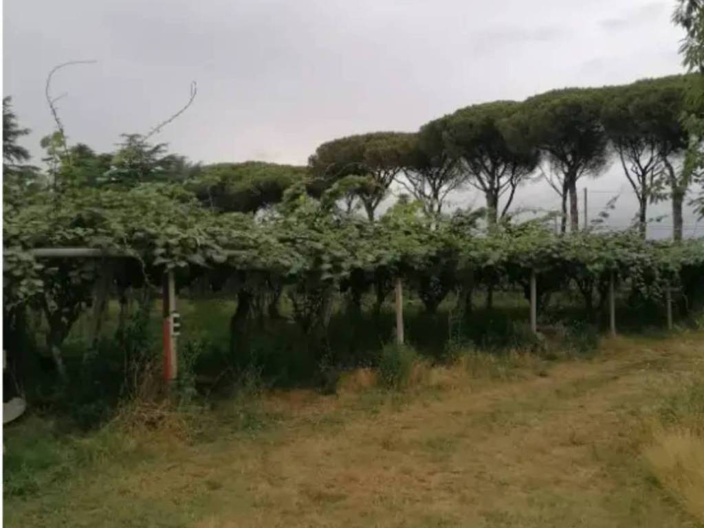 Casa indipendente a Latina in Via Appia - Foto 3