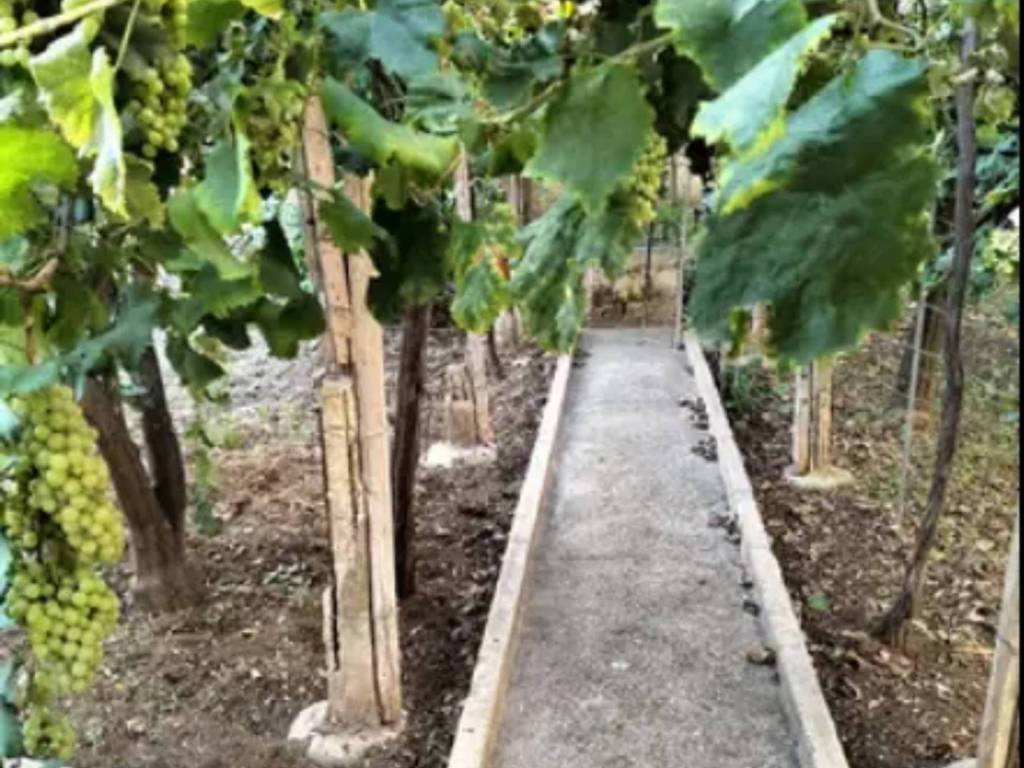 Box / garage a Erice in Via Raimondo Franchetti - Foto 5