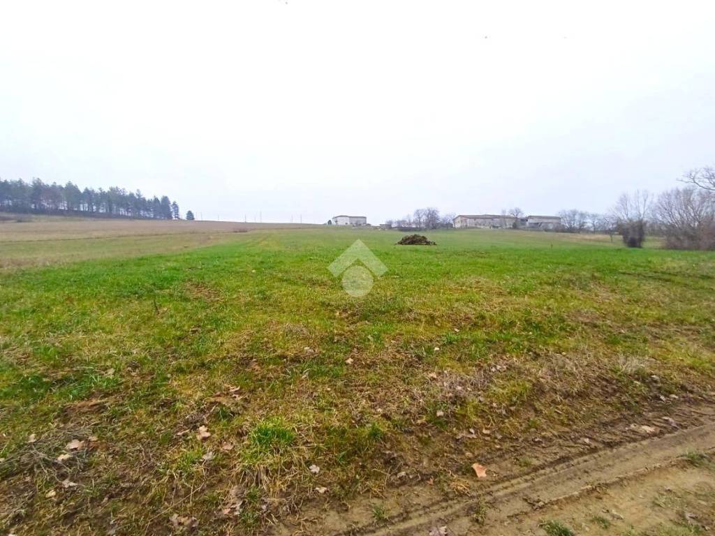 Terreno a Roascio in Strada provinciale 135 - Foto 4