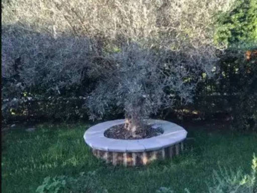 Appartamento a Teano in Via Loreto - Foto 2