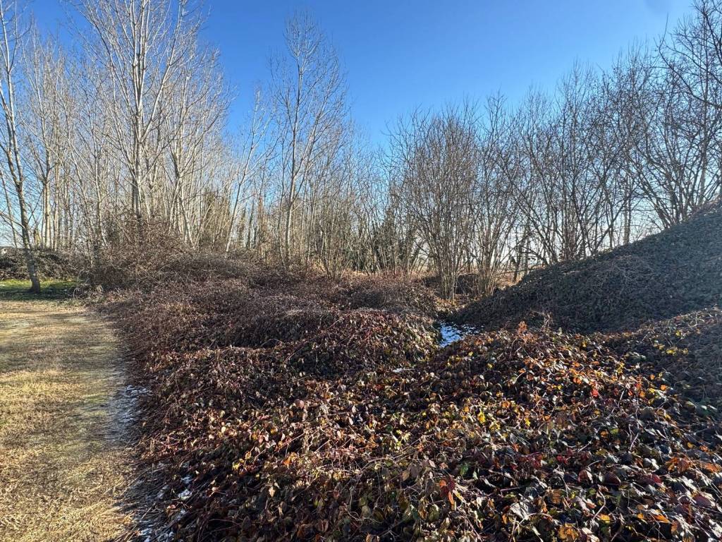 Villa a Mortara in Via 20 Settembre - Foto 2