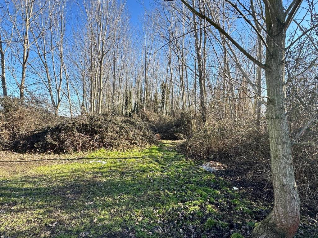 Villa a Mortara in Via 20 Settembre - Foto 3