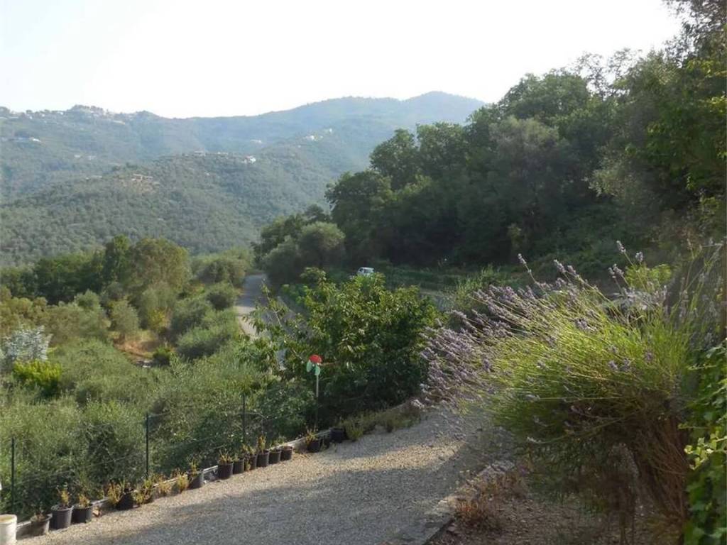 Villa a Perinaldo - Foto 4