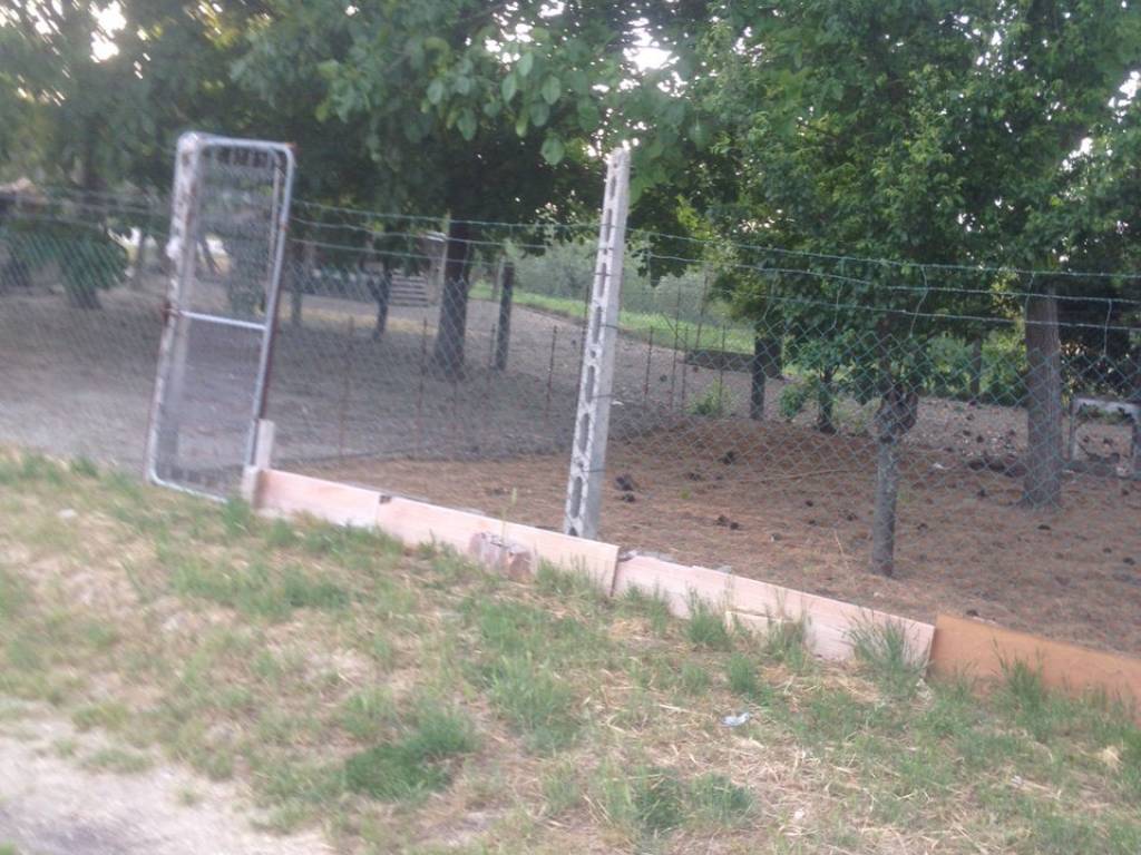 Rustico / casale a Senigallia - Foto 5