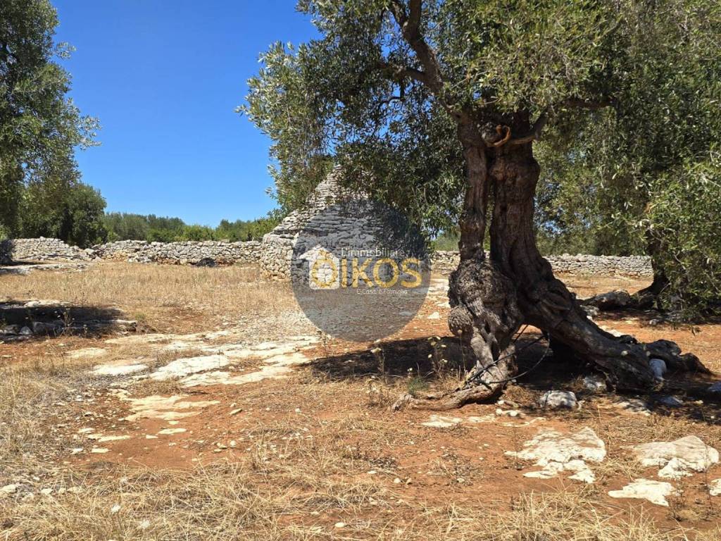 Terreno a Monopoli in Contrada Conchia - Foto 2