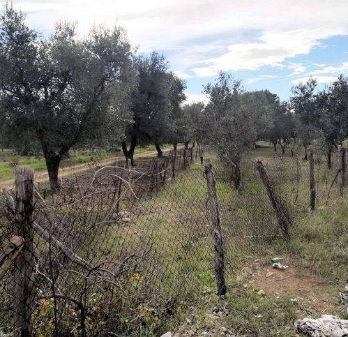 Terreno a Grottaglie - Foto 2