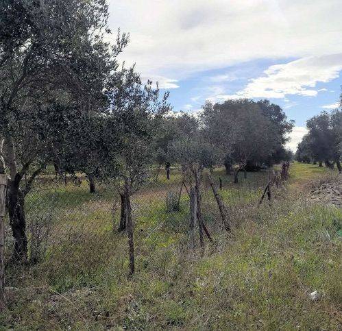 Terreno a Grottaglie - Foto 3