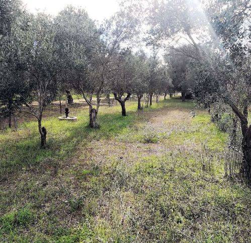 Terreno a Grottaglie - Foto 4