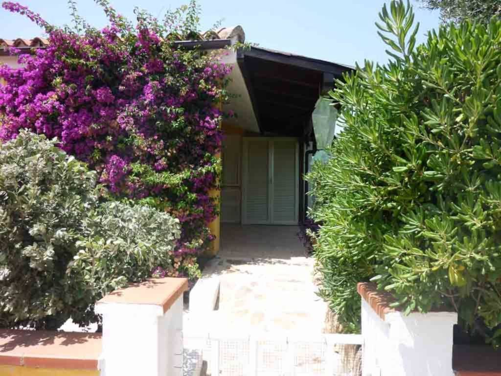 Villa a Loiri porto san paolo in Via Galileo Galilei, 7 - Foto 2