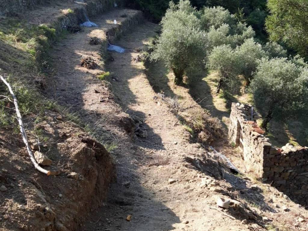 Terreno a Ventimiglia in frazione verrandi - Foto 2
