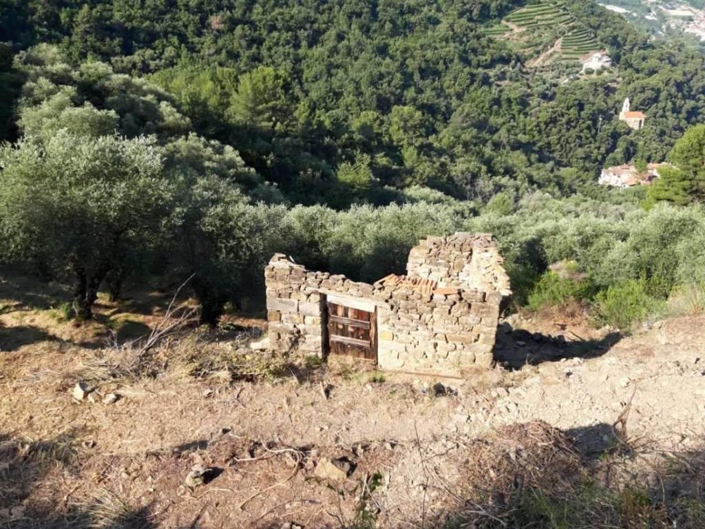 Terreno a Ventimiglia in frazione verrandi - Foto 4