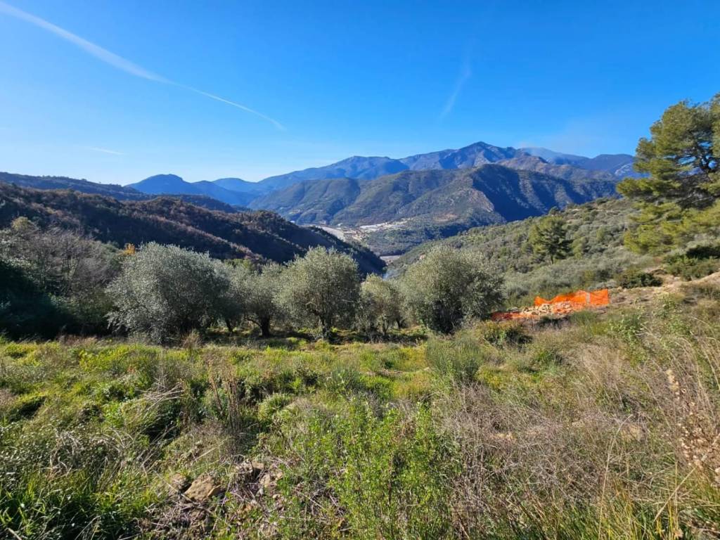 Terreno a Ventimiglia in frazione verrandi - Foto 5