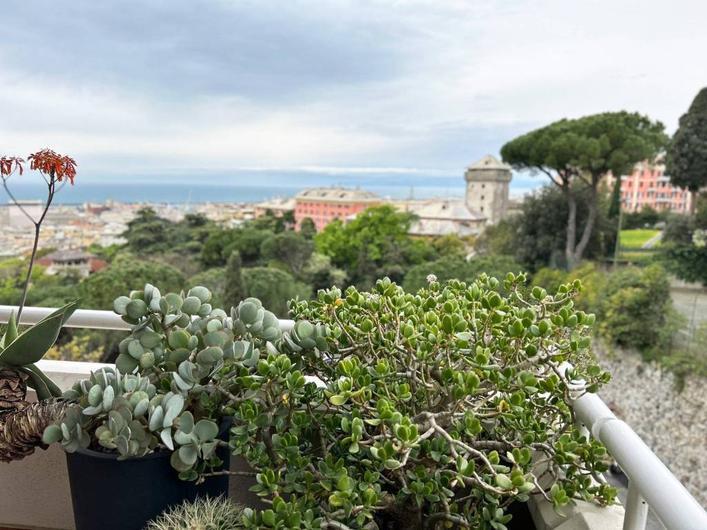 Appartamento a Genova in Via Cesare Corte - Foto 3