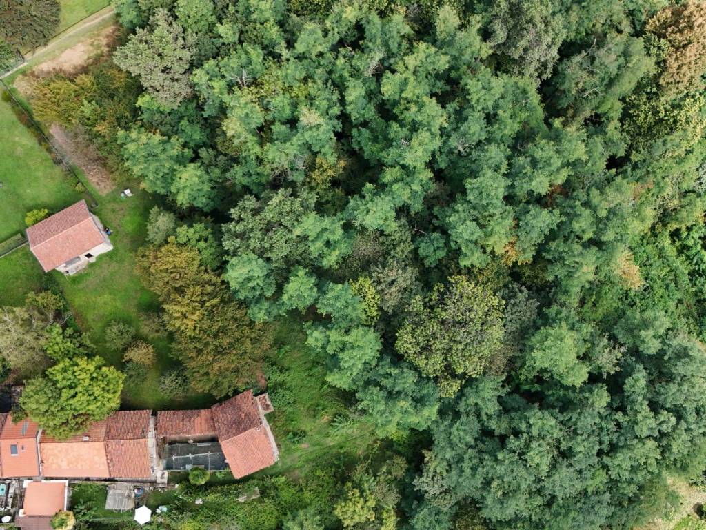 Casa indipendente a Tollegno in Via Ciarei, 27 - Foto 4