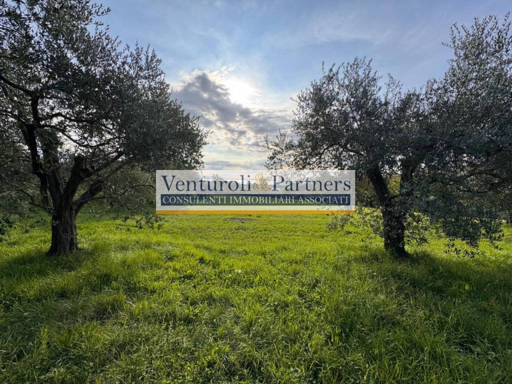 Terreno a San felice del benaco in Via Vallette - Foto 5
