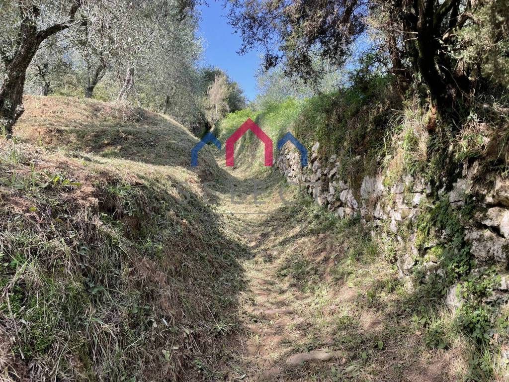 Rustico / casale a Borgo a mozzano - Foto 3