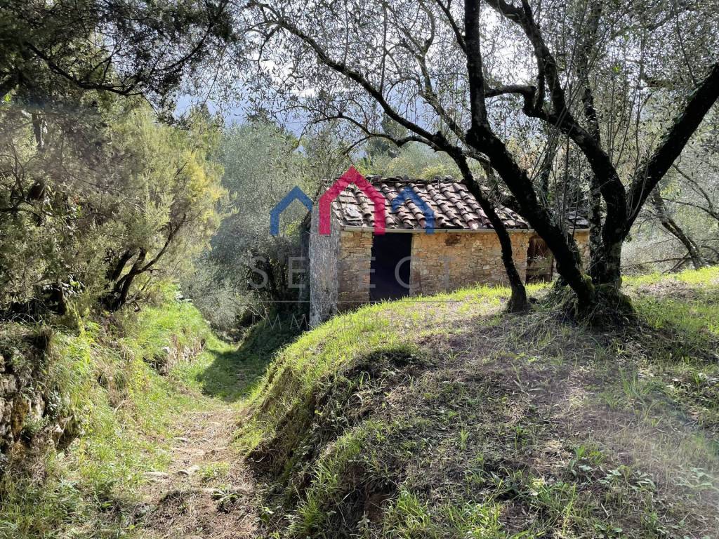 Rustico / casale a Borgo a mozzano - Foto 4