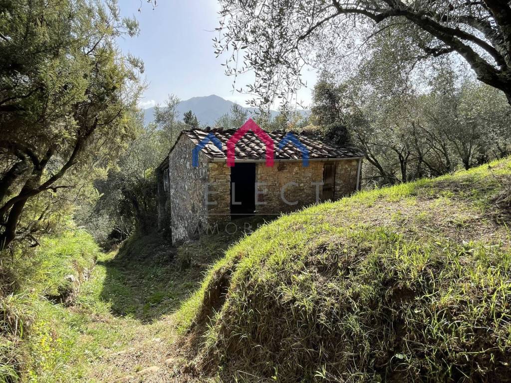 Rustico / casale a Borgo a mozzano - Foto 5