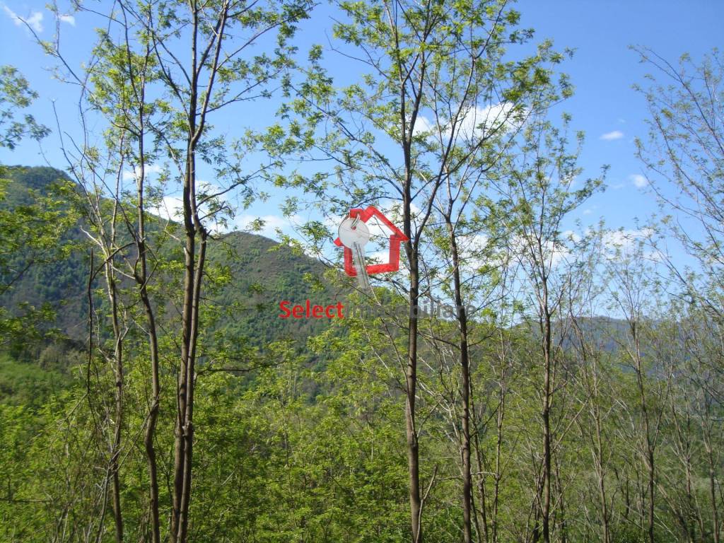 Rustico / casale a Borgo a mozzano - Foto 2