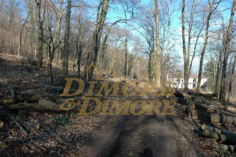 Rustico / casale a Comabbio - Foto 3