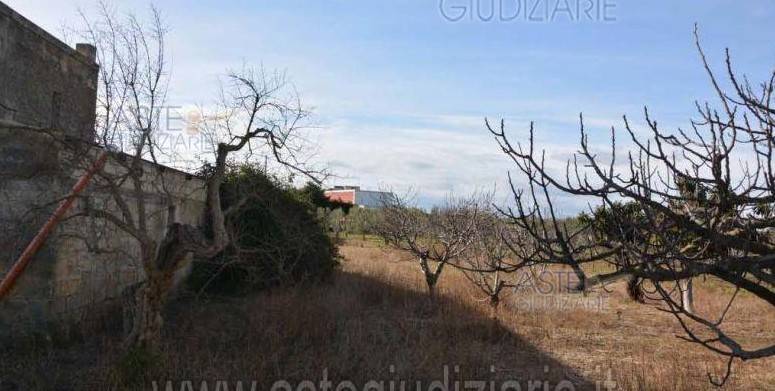 Terreno a Bisceglie in Viale Lago di Lauro - Foto 5
