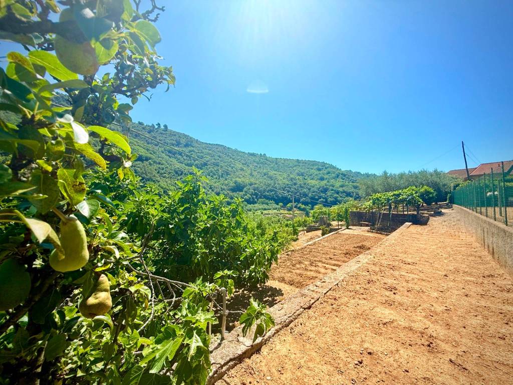 Villa a Dolceacqua in Via Provinciale, 39 - Foto 5