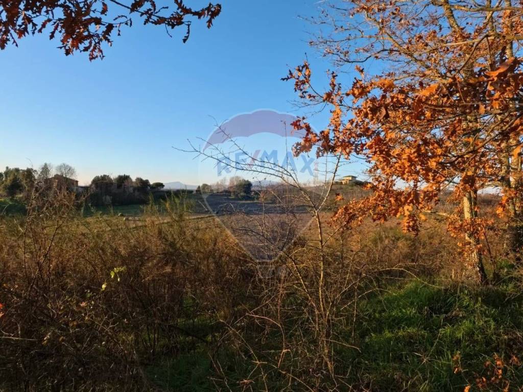 Terreno a Mazzano romano in Strada Sili - Foto 5