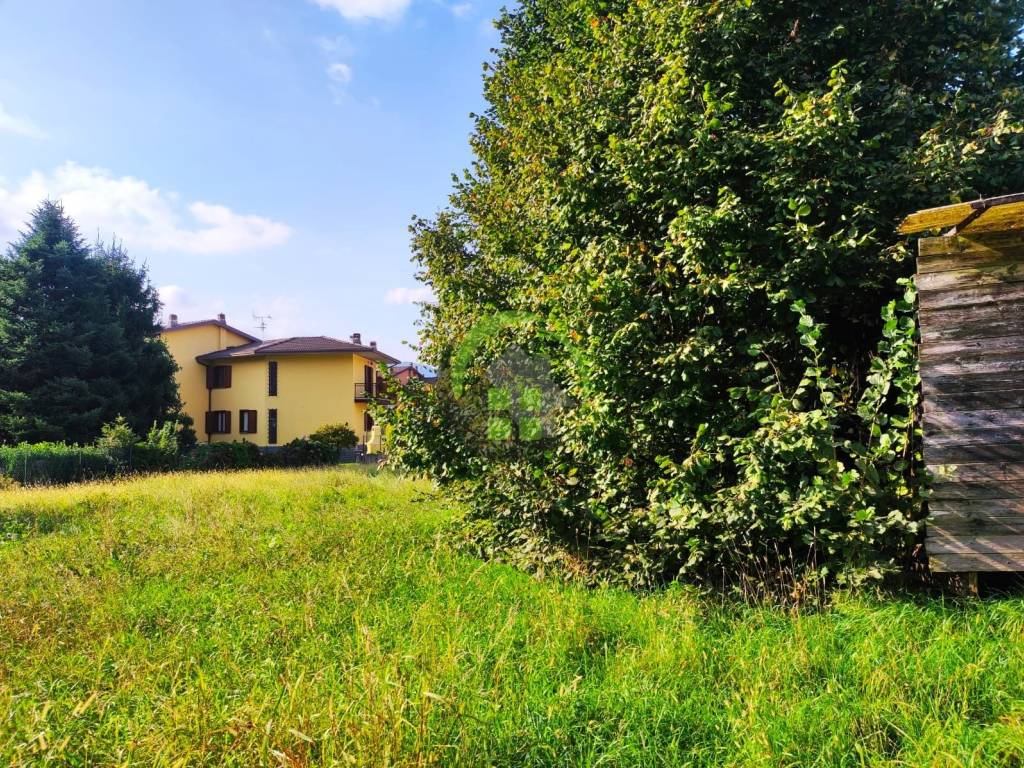 Terreno a Casnigo - Foto 4
