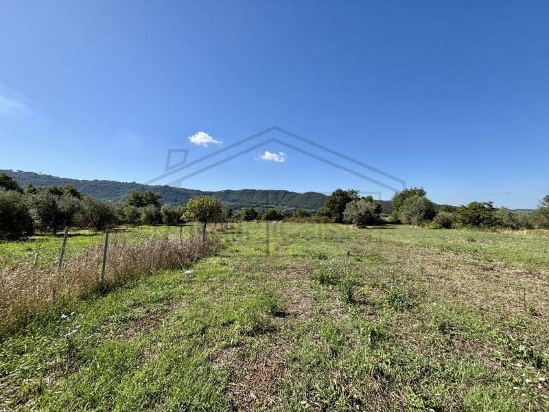 Terreno a Montefiascone in Via Coste - Foto 2