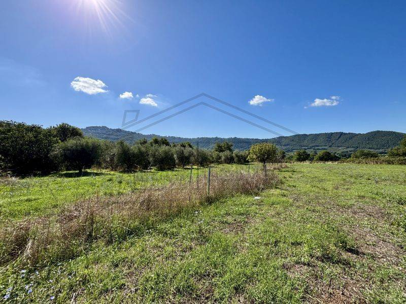 Terreno a Montefiascone in Via Coste - Foto 3