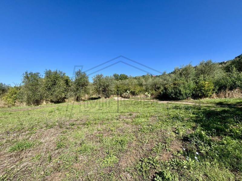 Terreno a Montefiascone in Via Coste - Foto 4