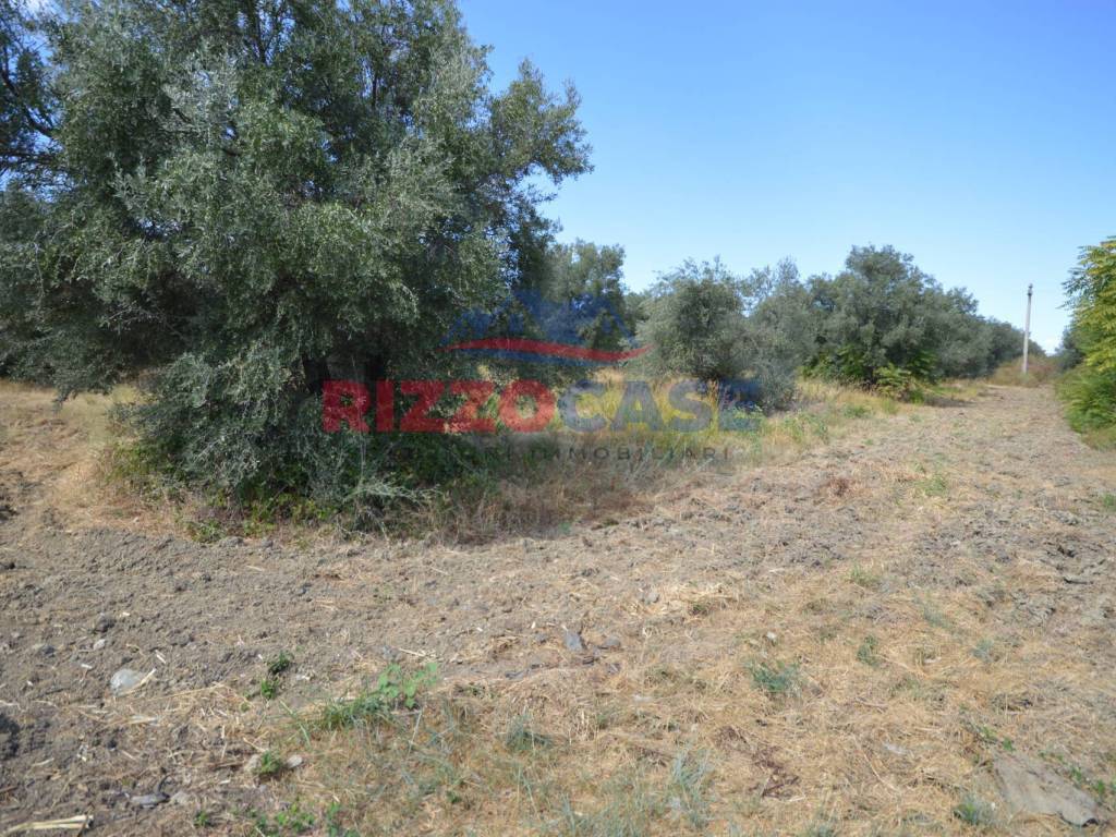 Terreno a Pietrapaola in SS 106 - Foto 2