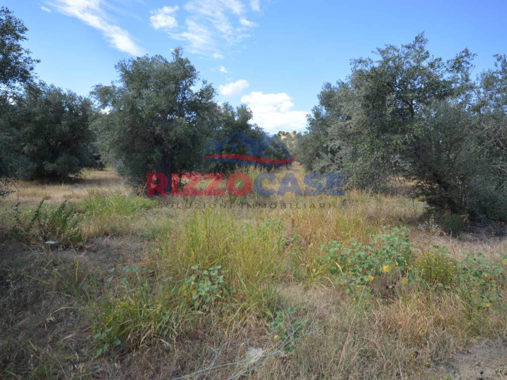 Terreno a Pietrapaola in SS 106 - Foto 3