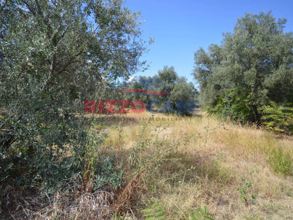 Terreno a Pietrapaola in SS 106 - Foto 4