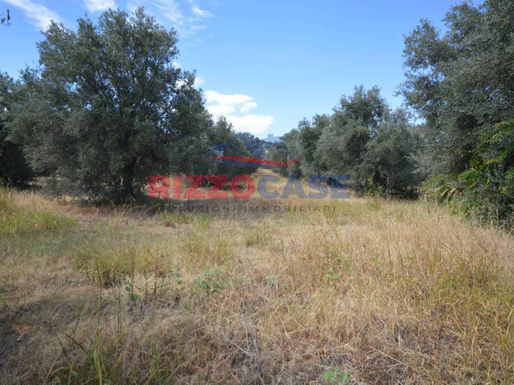 Terreno a Pietrapaola in SS 106 - Foto 5