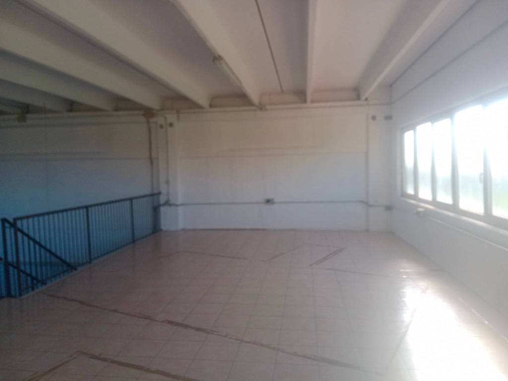 Immobile a Carpi in Strada Statale Romana Nord - Foto 5