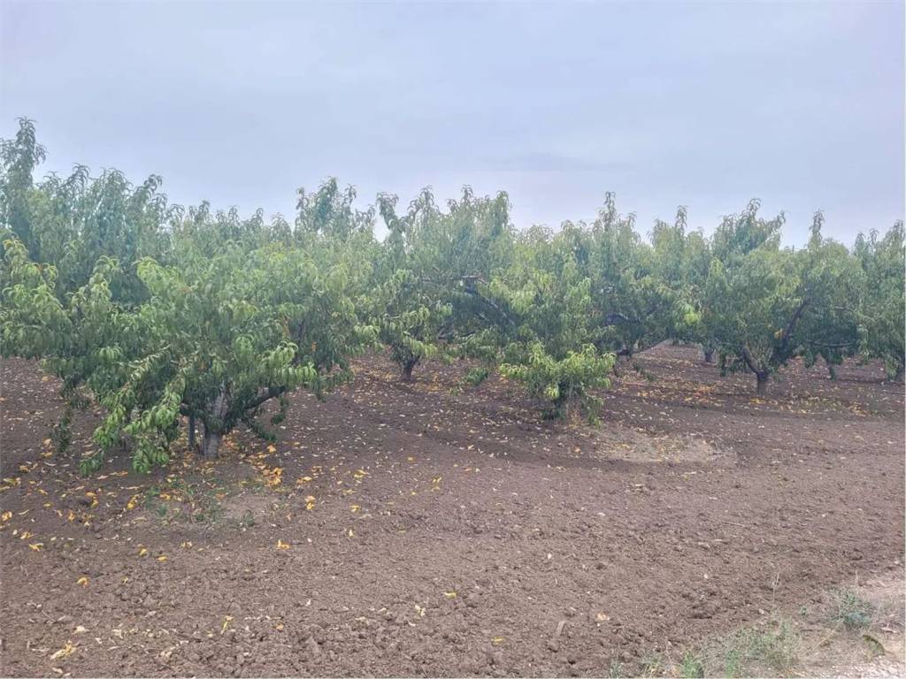 Immobile a Canosa di puglia in Strada Statale 93 No Number - Foto 2