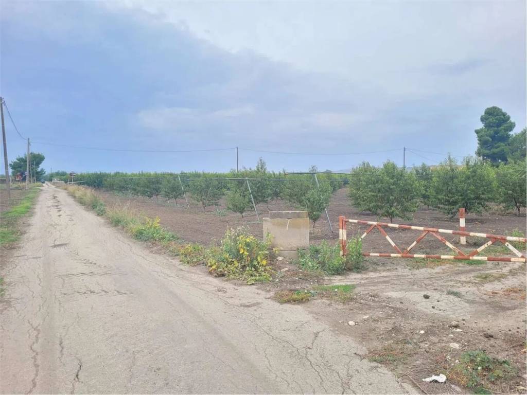 Immobile a Canosa di puglia in Strada Statale 93 No Number - Foto 3