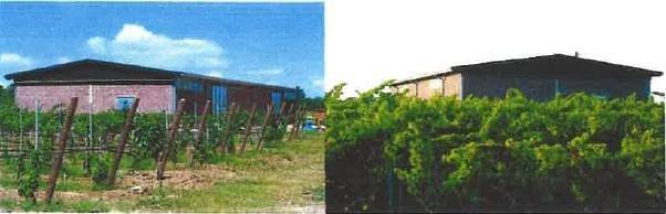 Terreno a Castiglione del lago - Foto 5